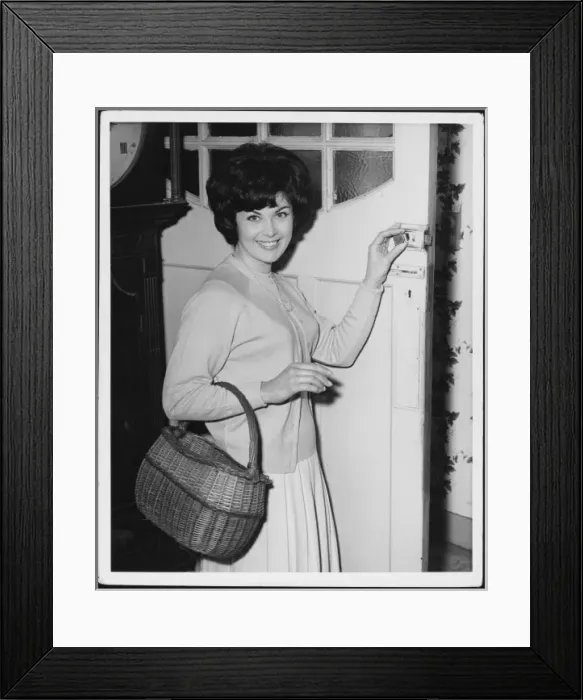 Framed Print : Housewife / Basket Framed Print : Housewife / Basket