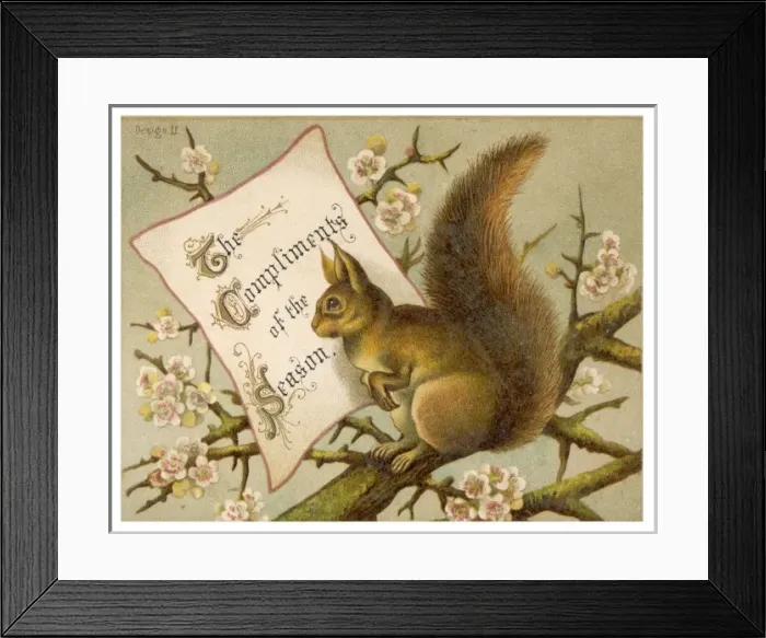 Framed Print : Squirrel New Year Card