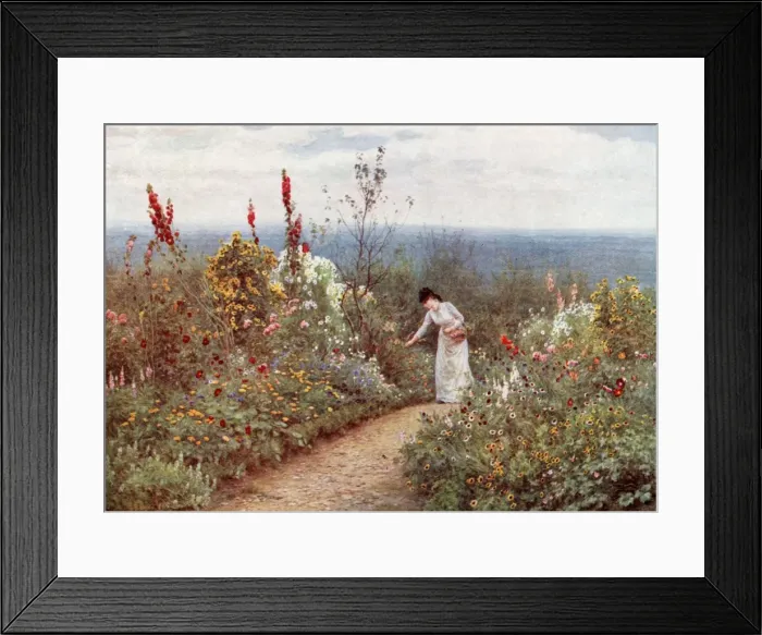 Framed Print : Garden / Aldworth October Framed Print : Garden / Aldworth October