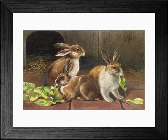 Framed Print : Rabbits & Green Leaves Framed Print : Rabbits & Green Leaves