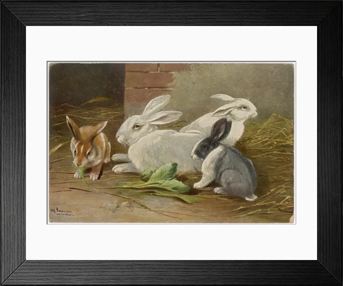 Framed Print : Assorted Rabbits 1890S Framed Print : Assorted Rabbits 1890S