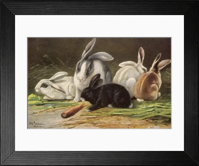 Framed Print : Rabbits / Schonian 20C Framed Print : Rabbits / Schonian 20C