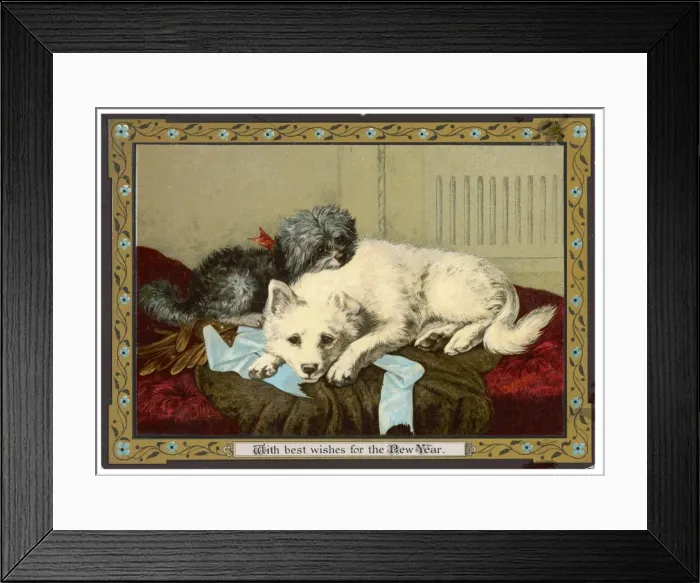 Framed Print : Dogs Sleeping Together Framed Print : Dogs Sleeping Together