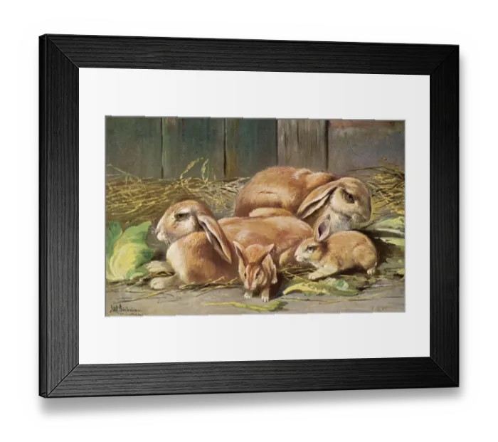 Framed Print : Rabbits with Young 1905 Framed Print : Rabbits with Young 1905