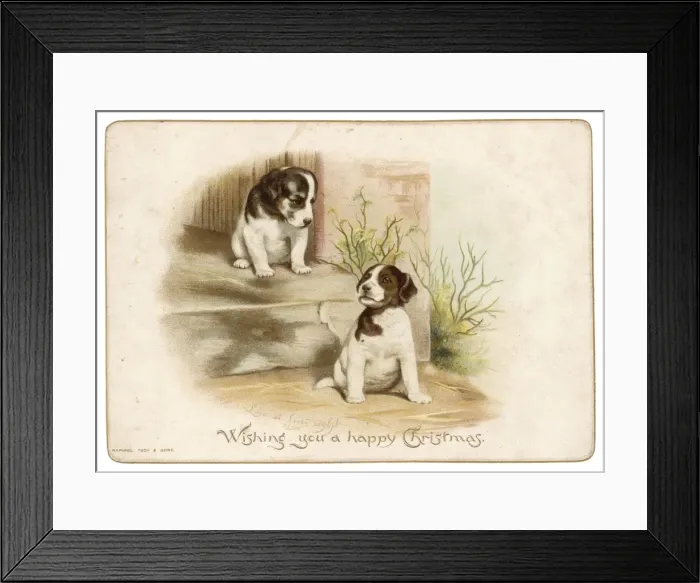 Framed Print : Puppies on a Doorstep Framed Print : Puppies on a Doorstep