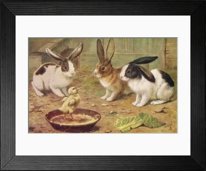 Framed Print : Rabbits & Chick 1920S Framed Print : Rabbits & Chick 1920S