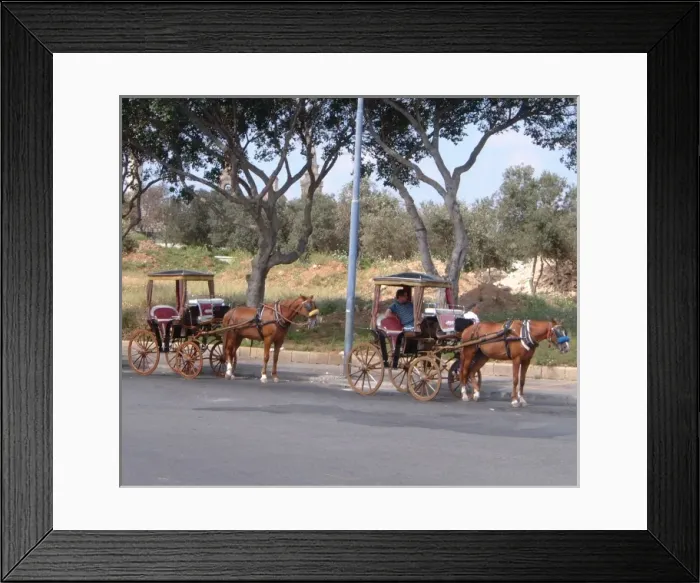Framed Print : Karrozin Carriages / Malta Framed Print : Karrozin Carriages / Malta