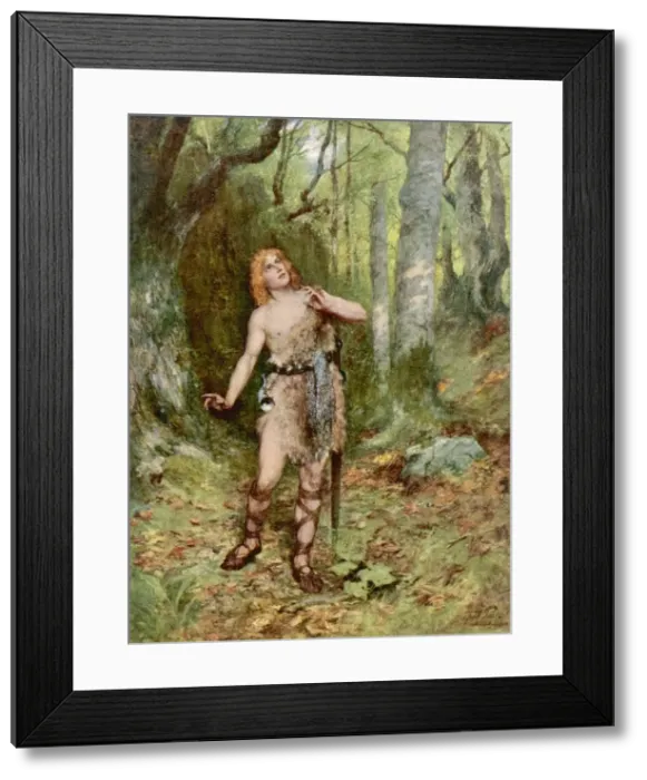 Framed Print : Birds Instruct Sigurd Framed Print : Birds Instruct Sigurd