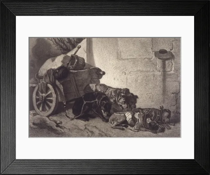 Framed Print : Belgian Dogs Resting Framed Print : Belgian Dogs Resting