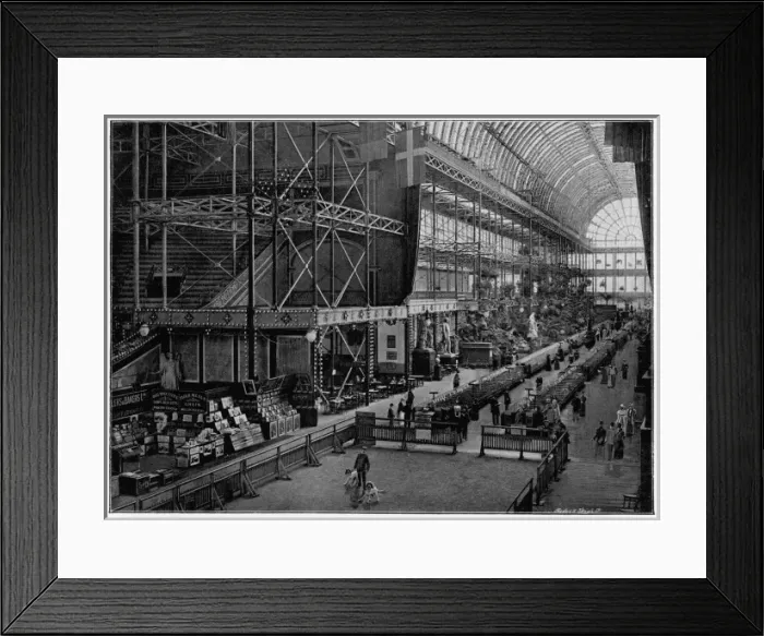 Framed Print : Crystal Palace Dog Show Framed Print : Crystal Palace Dog Show