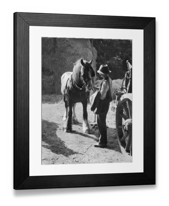 Framed Print : SHIREHORSE Framed Print : SHIREHORSE
