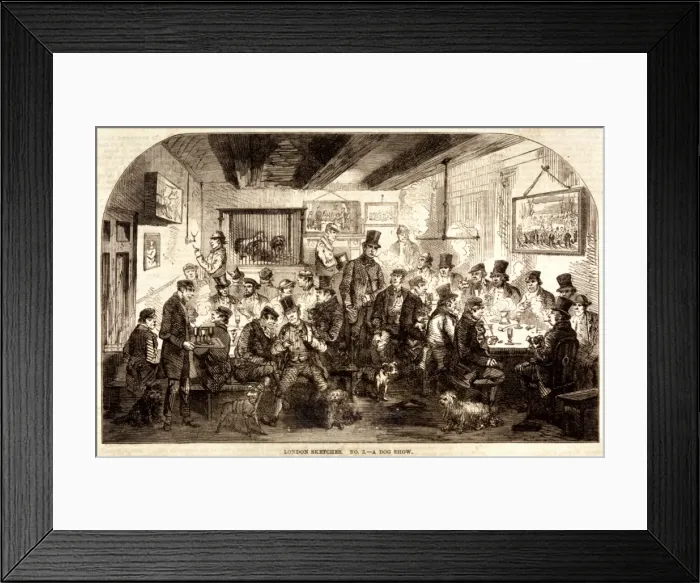 Framed Print : London Dog Show 1861 Framed Print : London Dog Show 1861