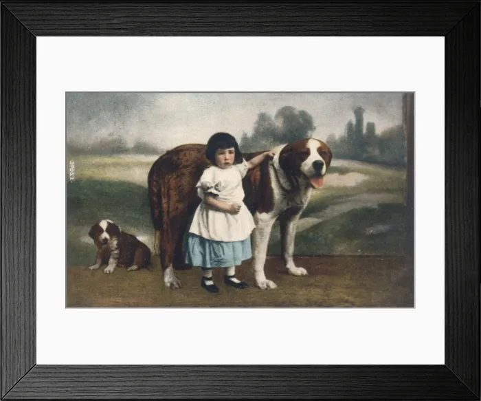 Framed Print : Child and St Bernards Framed Print : Child and St Bernards