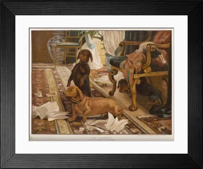 Framed Print : Destructive Dachsies Framed Print : Destructive Dachsies