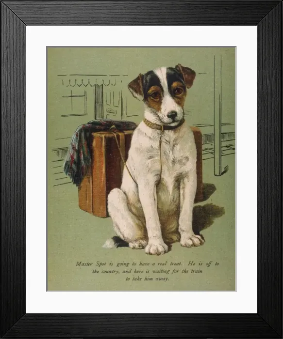 Framed Print : Dog and Luggage Framed Print : Dog and Luggage