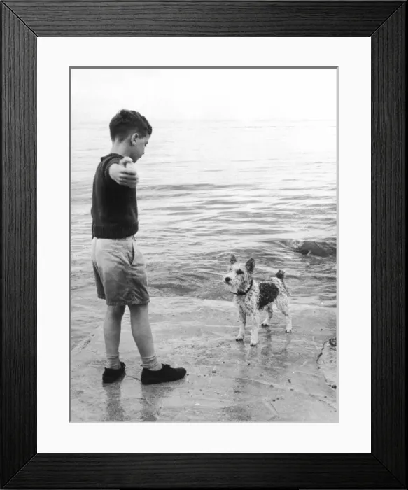 Framed Print : Boy and Dog / Beach 1963 Framed Print : Boy and Dog / Beach 1963