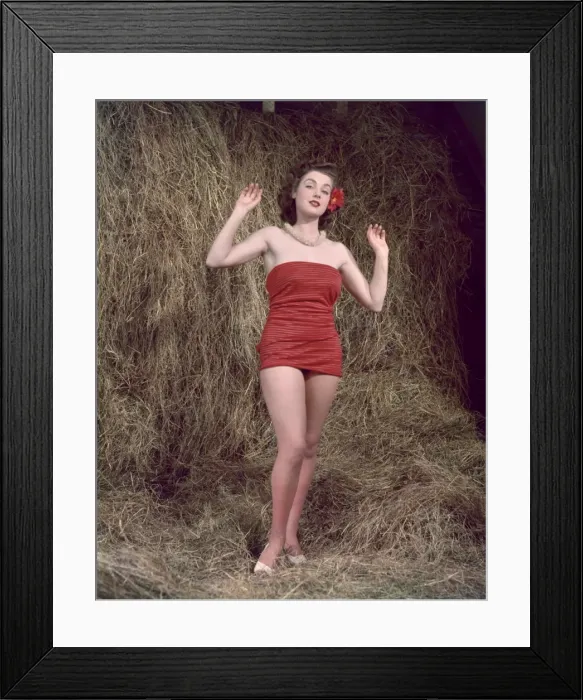 Framed Print : HIBISCUS GIRL 1950S 4 / 4 Framed Print : HIBISCUS GIRL 1950S 4 / 4