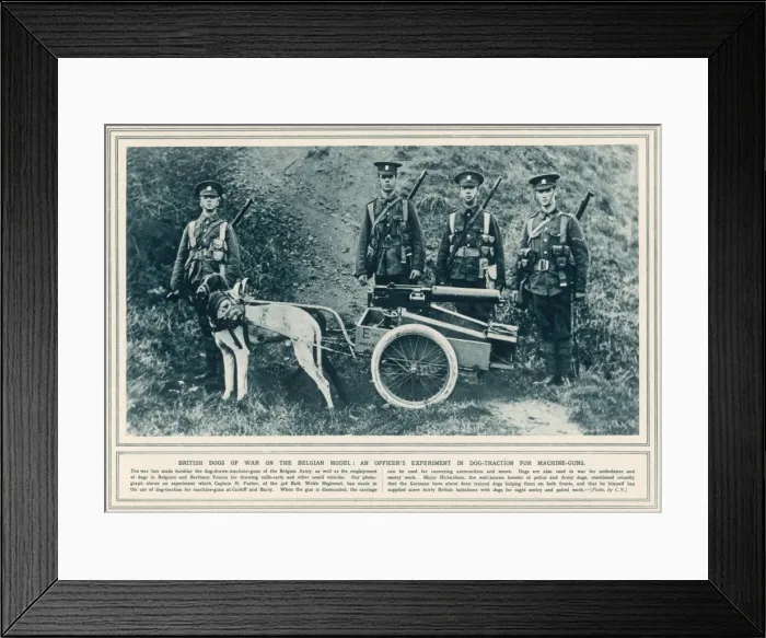Framed Print : British Dogs Pull Guns Framed Print : British Dogs Pull Guns