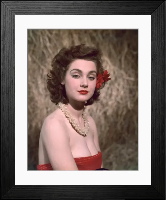 Framed Print : HIBISCUS GIRL 1950S 2 / 4 Framed Print : HIBISCUS GIRL 1950S 2 / 4