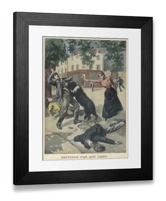 Framed Print : Dog Saves Mistress Framed Print : Dog Saves Mistress