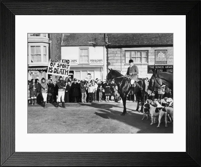 Framed Print : Anti-Hunting Demo 1970S Framed Print : Anti-Hunting Demo 1970S