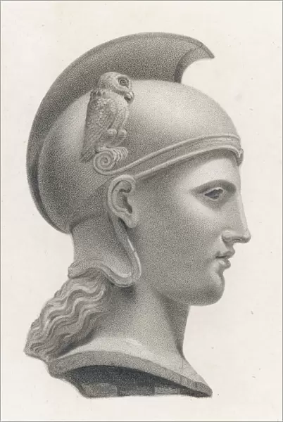 Athena  /  Minerva Bust