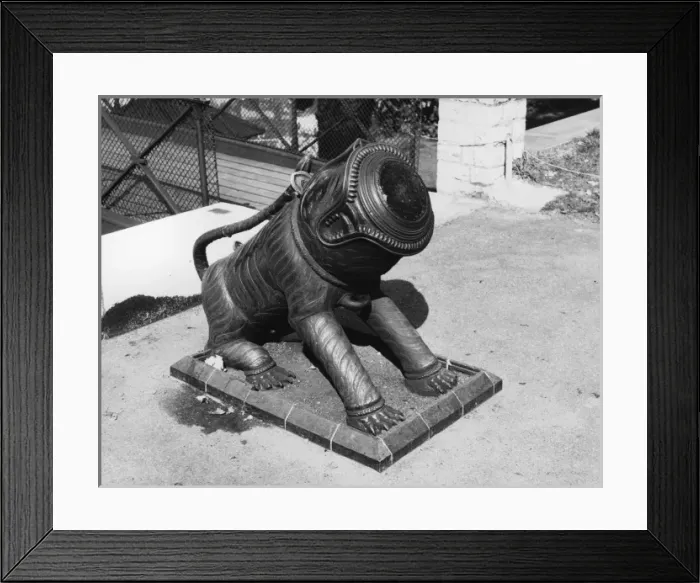 Framed Print : Bulldog Cannon Framed Print : Bulldog Cannon