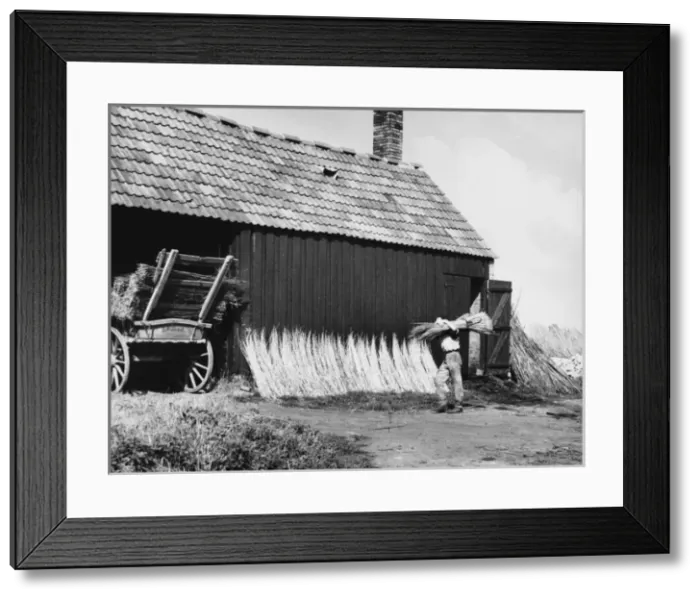Framed Print : Stacking Willow Rods Framed Print : Stacking Willow Rods