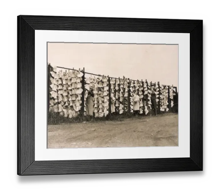 Framed Print : Straw Hats Drying Framed Print : Straw Hats Drying