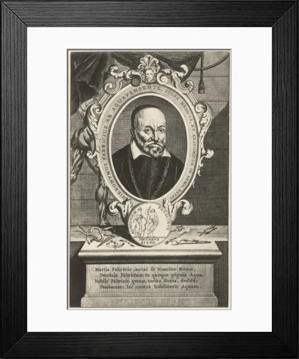Framed Print : Hieronymus Fabricius Framed Print : Hieronymus Fabricius