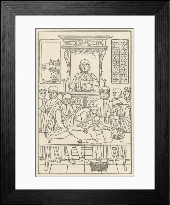Framed Print : First Dissection Pic Framed Print : First Dissection Pic