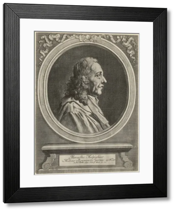 Framed Print : Marcello Malpighi Framed Print : Marcello Malpighi