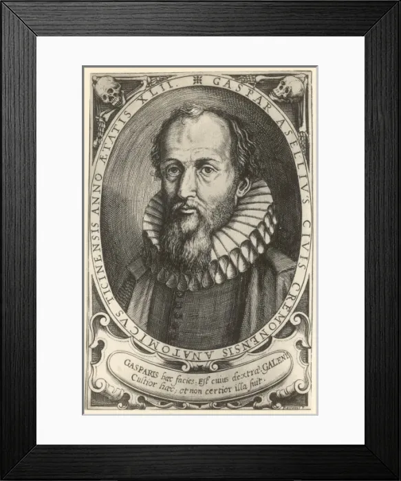 Framed Print : Gaspar Aselli Framed Print : Gaspar Aselli