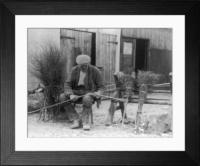 Framed Print : Making Brooms from Hazel Framed Print : Making Brooms from Hazel