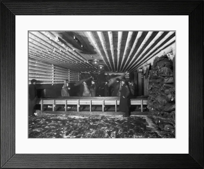 Framed Print : Beef for Export / 1930S Framed Print : Beef for Export / 1930S