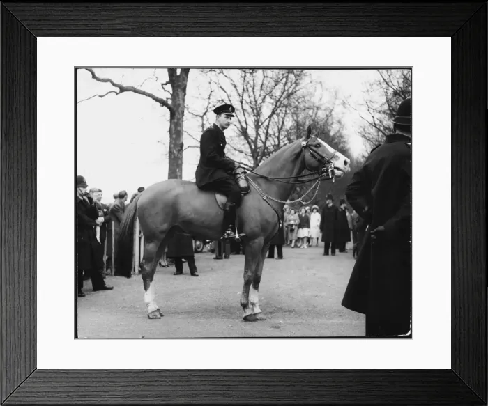 Framed Print : Mounted Policeman Framed Print : Mounted Policeman