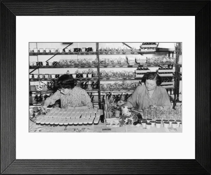 Framed Print : Women Hand Painting Framed Print : Women Hand Painting