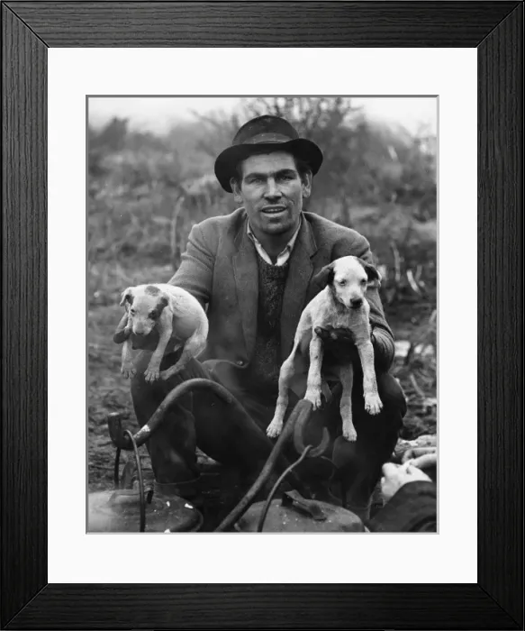 Framed Print : Gipsy & Puppies Framed Print : Gipsy & Puppies