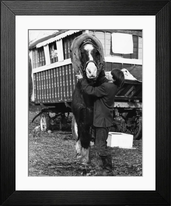 Framed Print : Gipsy Boy & Horse 1973 Framed Print : Gipsy Boy & Horse 1973