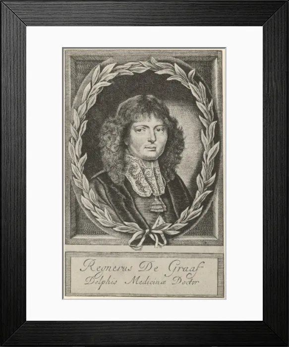 Framed Print : Regner De Graaf Framed Print : Regner De Graaf