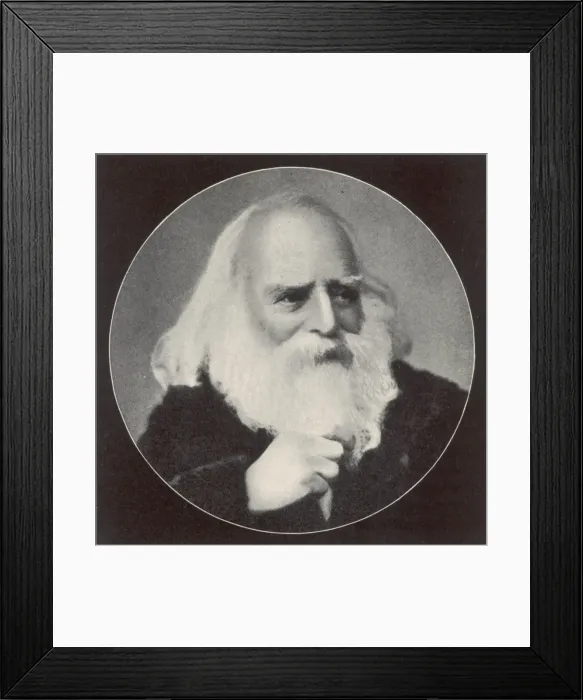 Framed Print : Moritz Schiff Framed Print : Moritz Schiff