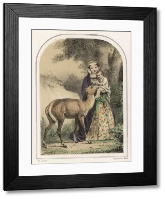 Framed Print : Genevieve Saved by Deer Framed Print : Genevieve Saved by Deer