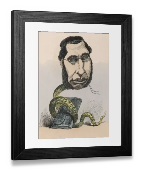 Framed Print : Emile Ollivier Cartoon Framed Print : Emile Ollivier Cartoon