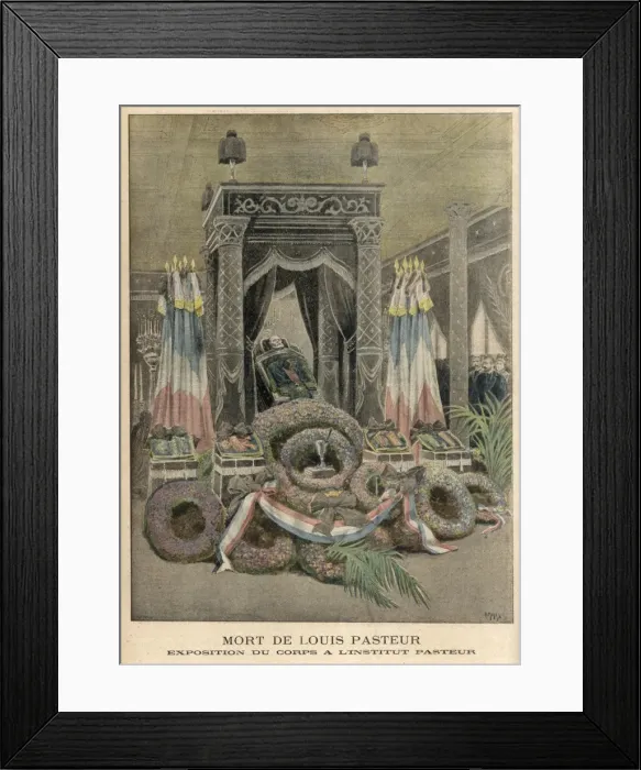 Framed Print : Louis Pasteur Framed Print : Louis Pasteur