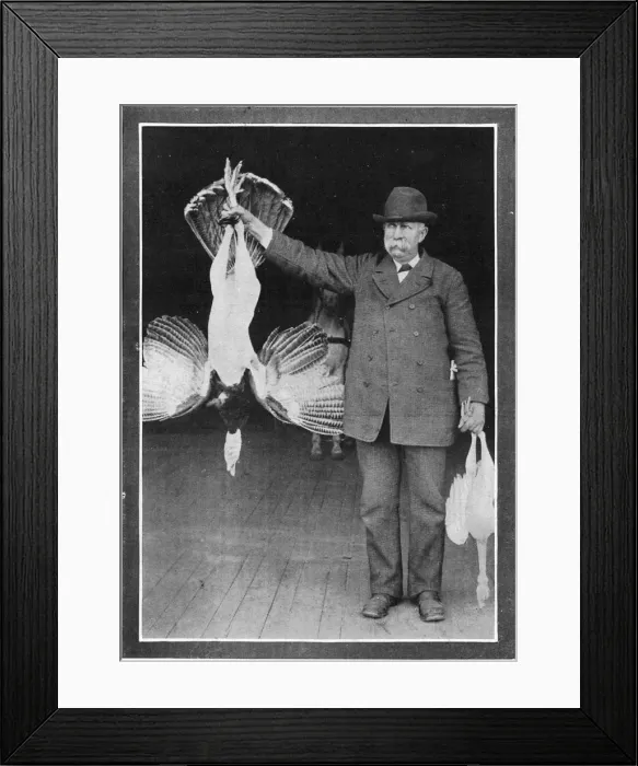 Framed Print : Mr. Roosevelts Turkey
