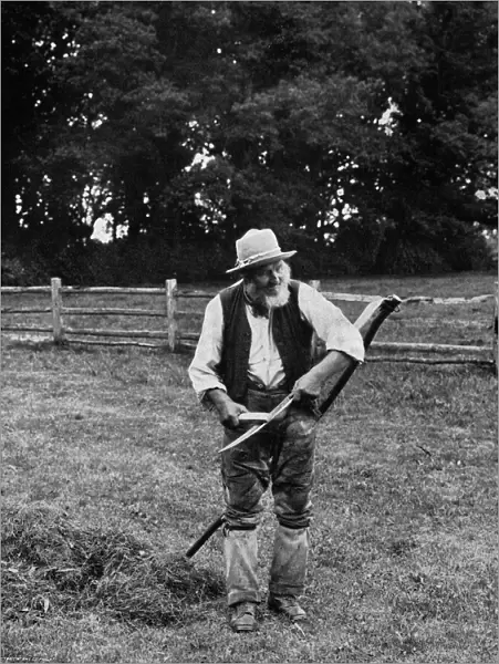 Farming  /  Mowing 1899