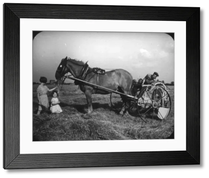 Framed Print : Ploughing with Horse Framed Print : Ploughing with Horse