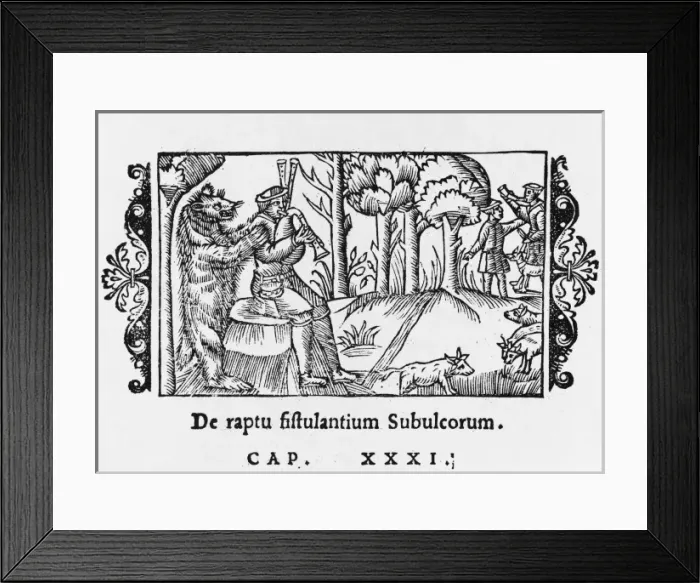 Framed Print : Animals Love Music Framed Print : Animals Love Music