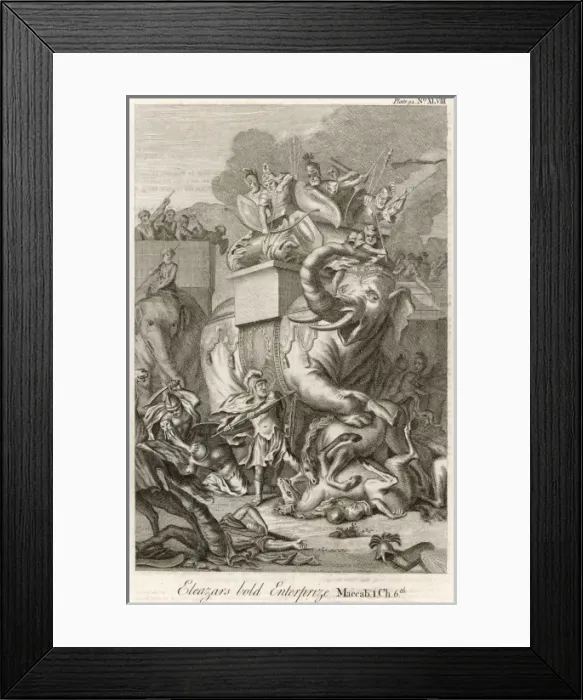 Framed Print : Eleazar and Elephants Framed Print : Eleazar and Elephants