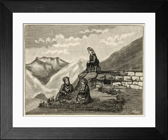 Framed Print : Menstruation Caucasus Framed Print : Menstruation Caucasus